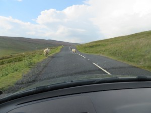 photo-2