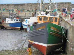 photo-2
