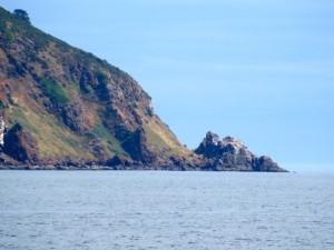 photo-4