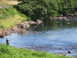 photo-6