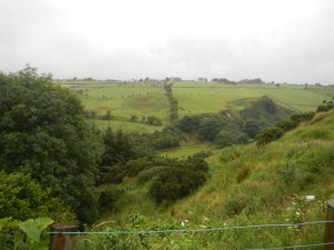 DSCN1148