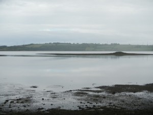 DSCN1185