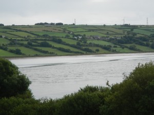 DSCN1193