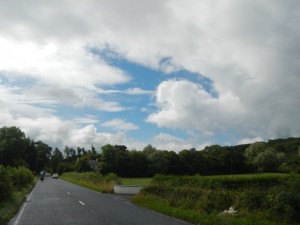 DSCN1195