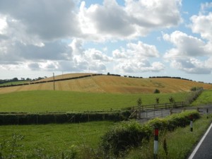 DSCN1323