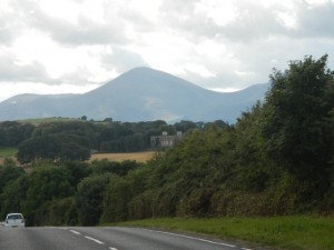 DSCN1361