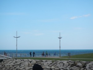 DSCN1380