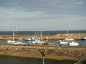 DSCN1416