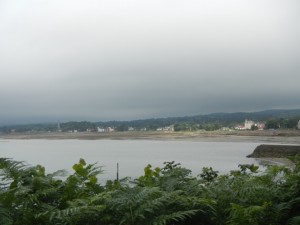 DSCN1430