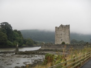 DSCN1449