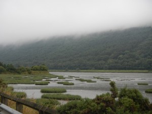 DSCN1460