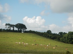 DSCN1502