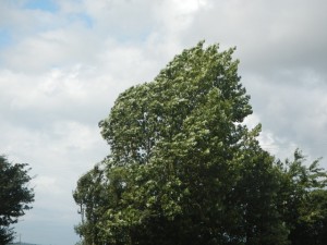 DSCN1514
