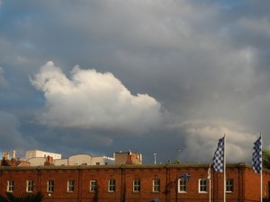 DSCN1536