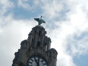 DSCN1716