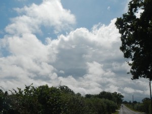 DSCN1822