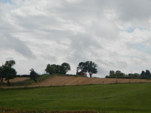 DSCN1832