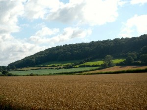 DSCN1942