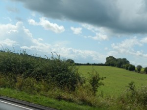 DSCN1966
