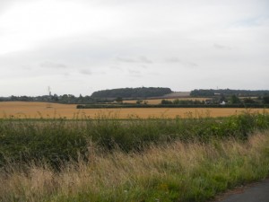DSCN1982