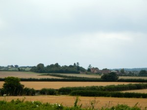 DSCN2063