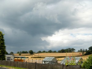 DSCN2240