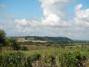 DSCN2322