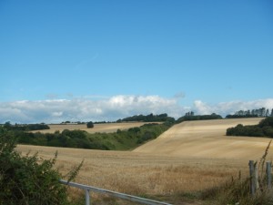 DSCN2382