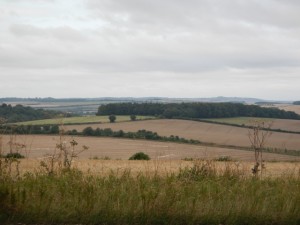 DSCN2489