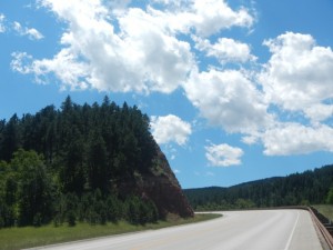 DSCN4574