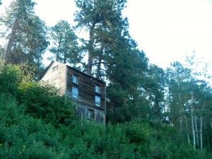 DSCN4658