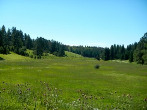 DSCN4759