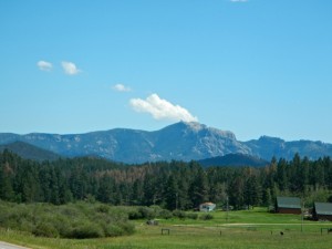 DSCN4907