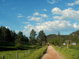 DSCN5011
