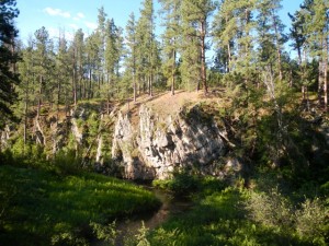 DSCN5028