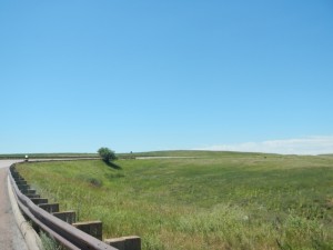 DSCN5154