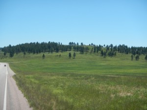 DSCN5161