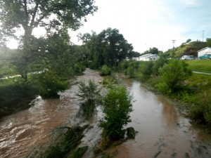 DSCN5194