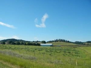 DSCN5299