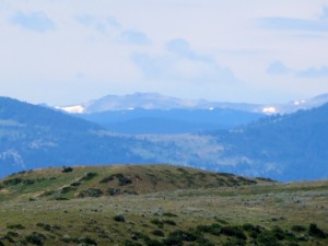 IMG_0357