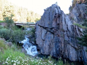 IMG_0544