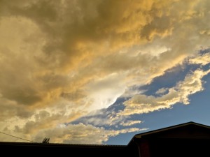 IMG_0703