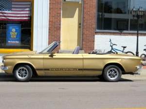 IMG_0753
