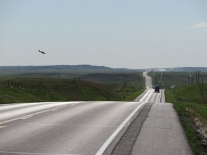IMG_0760