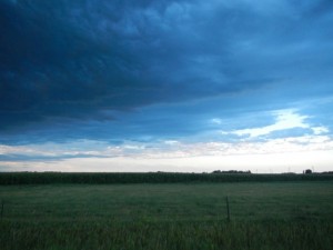 DSCN5544
