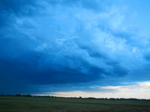DSCN5557