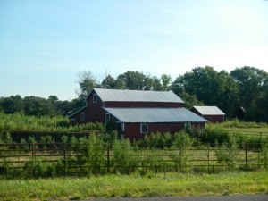 DSCN5675