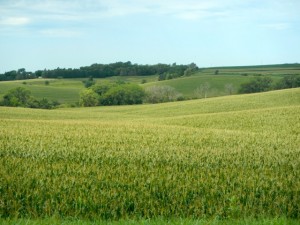 DSCN5767