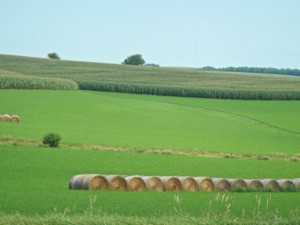 DSCN5771