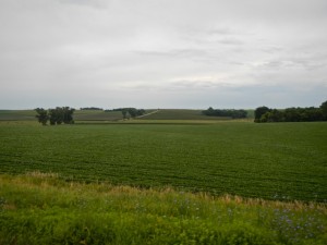 DSCN5785